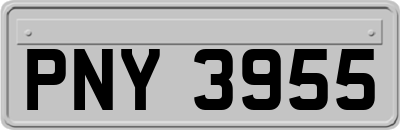 PNY3955