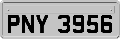 PNY3956