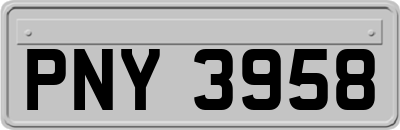 PNY3958