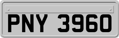 PNY3960