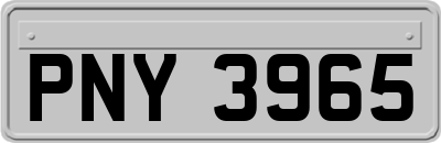PNY3965