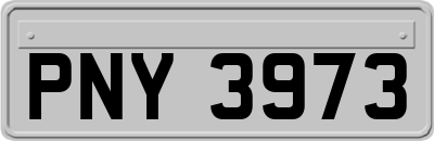 PNY3973