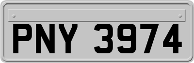 PNY3974