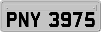 PNY3975
