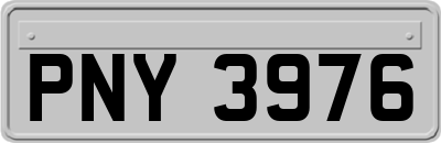 PNY3976