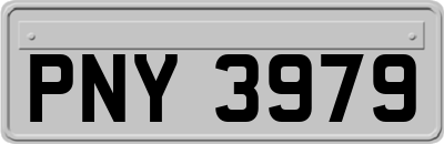 PNY3979