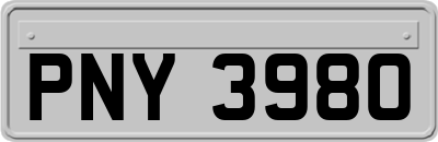 PNY3980