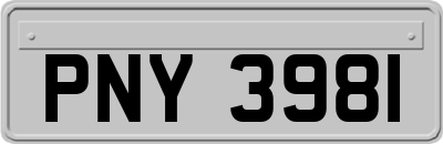PNY3981