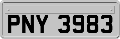 PNY3983