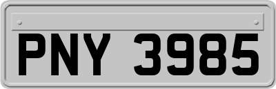 PNY3985