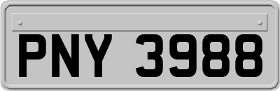 PNY3988