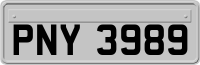 PNY3989