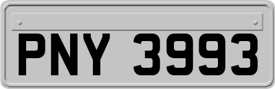 PNY3993