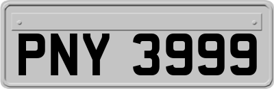 PNY3999