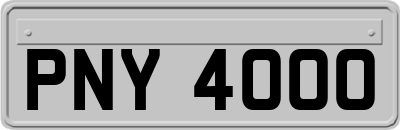 PNY4000