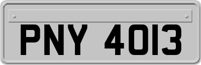 PNY4013