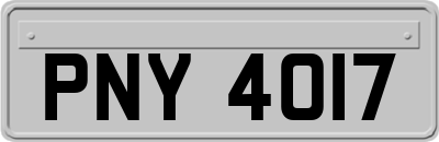PNY4017