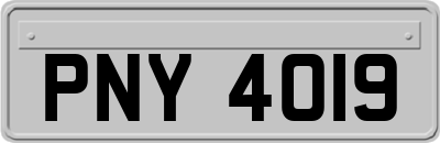 PNY4019