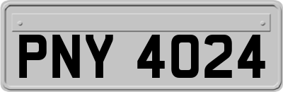 PNY4024
