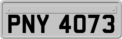 PNY4073