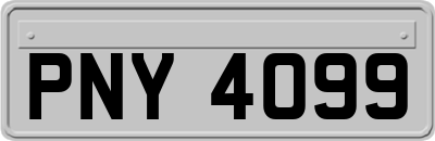 PNY4099