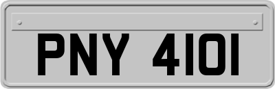 PNY4101