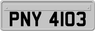 PNY4103