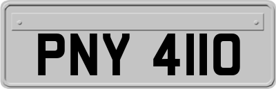 PNY4110