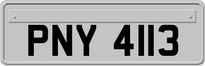 PNY4113