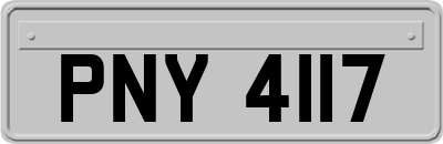 PNY4117