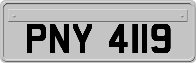 PNY4119
