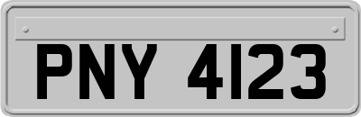 PNY4123
