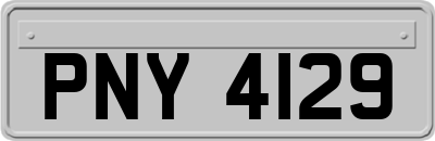 PNY4129