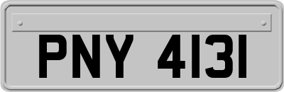 PNY4131