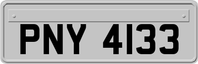PNY4133