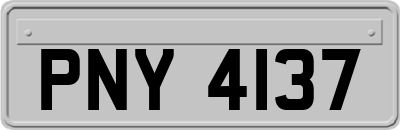 PNY4137