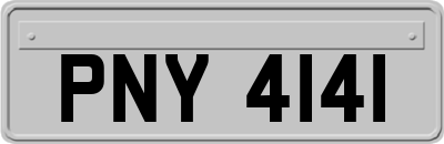 PNY4141