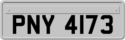 PNY4173
