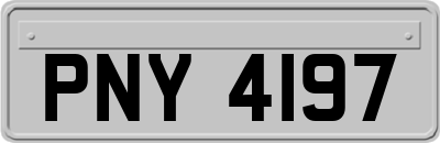 PNY4197
