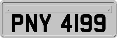PNY4199