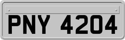PNY4204