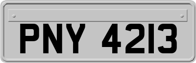 PNY4213