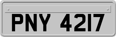 PNY4217
