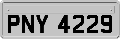 PNY4229