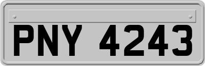 PNY4243