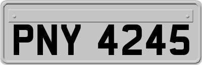 PNY4245
