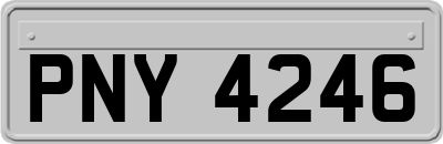 PNY4246