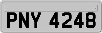 PNY4248