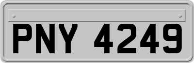 PNY4249