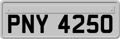 PNY4250